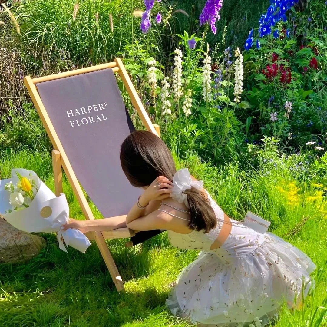 替身秘书厉总别撩了我只是机器人